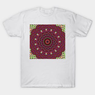 Mandalas 34 T-Shirt